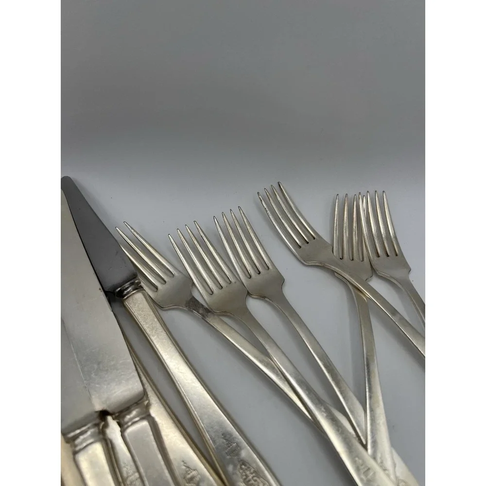64 Pc ONEIDA BIRD of PARADISE COMMUNITY PLATE 1923 SILVERWARE Forks Knives Spoon